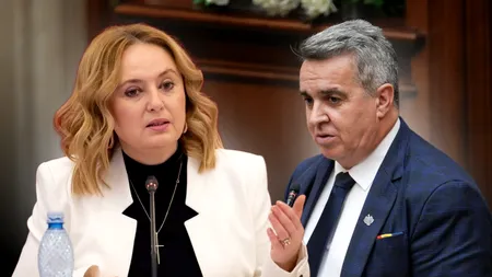 Scandal între senatorul Negru şi şefa comisiei care anchetează întâlnirea dintre Bolojan şi şefa CCR. Cerva, ameninţată cu plângere penală