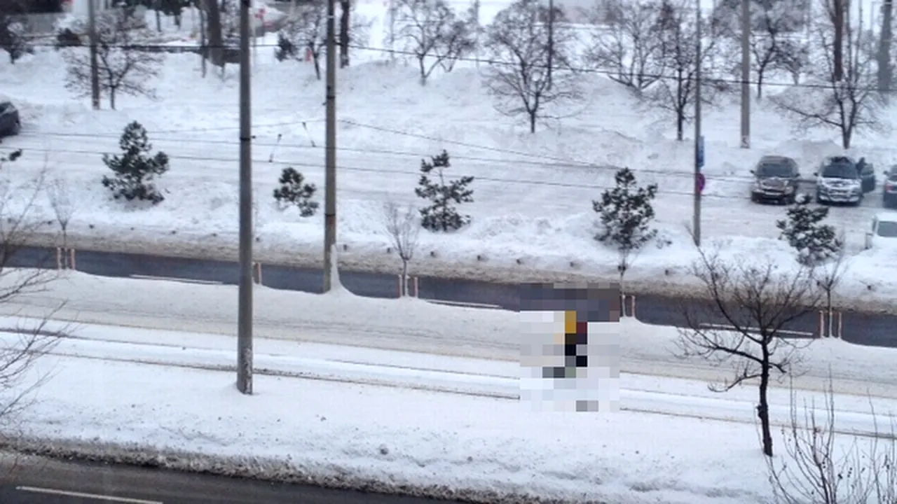 FOTO: Imagine amuzantă surprinsă de un cititor Gândul în zăpezile din București