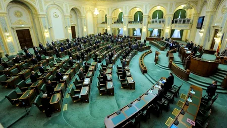 Senatorii Cezar Măgureanu și Viorel Badea anunță în plen că trec la PSD și, respectiv, PNL