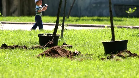 Peste 20.000 de copii primesc cadouri din Germania. În schimbul darului, li se cere să facă o faptă bună