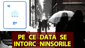 Meteorologii Easeweather au făcut deja anunțul. Pe ce dată se întorc ninsorile în România