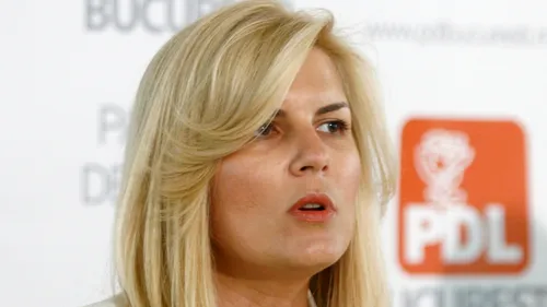 Ce spune ministrul de Interne despre o confruntare electorală cu Elena Udrea