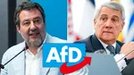 Reacții împărțite în Italia după victoria AfD. Vicepremierul salută rezultatul, în timp ce ministrul de Externe spune că este „o veste groaznică”