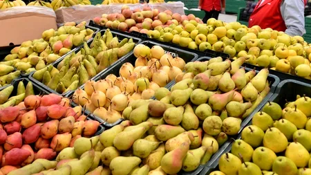 Rusia acuză Republica Moldova că folosește documente false pentru a încălca embargoul impus