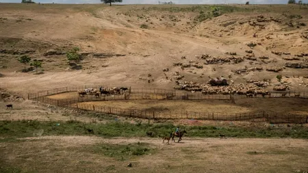 Previziune îngrijorătoare: Peste 40% din teritoriul României va deveni o stepă aridă în următorii 30 de ani! Cum ar putea fi prevenit un asemenea dezastru