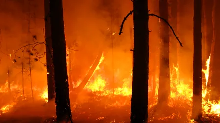 EUROPA, în flăcări. O nouă destinație turistică preferată de români, cuprinsă de foc. Vântul amplifică incendiile cu forța unui uragan