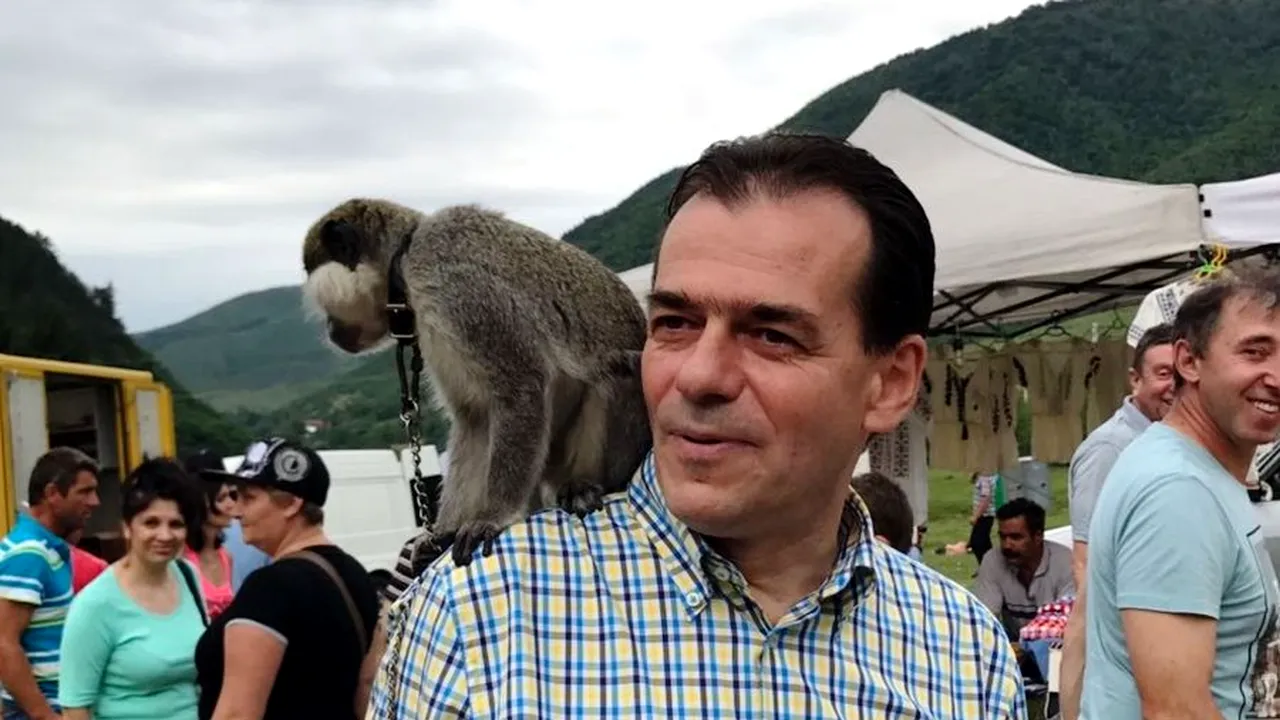 Moțiunea de Cenzură. Ziua de după