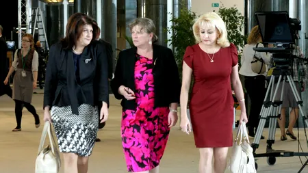 Bruxelles: Cum l-a plesnit Rovana pe comisarul Johannes. București: Ultimele zbateri cu capul pe buturugă