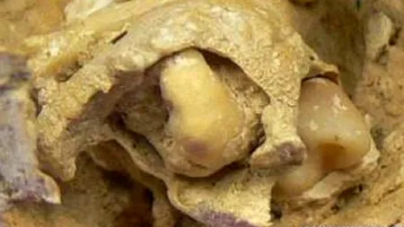 Descoperirea arheologilor spanioli: 