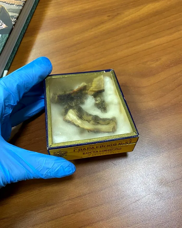 Dinții lui Adolf Hitler au ajuns pe Instagram: „Probele ADN au demonstrat că sunt ale lui Hitler!” / Rămășițele dictatorului, scoase din arhivele secrete ale Rusiei - FOTO