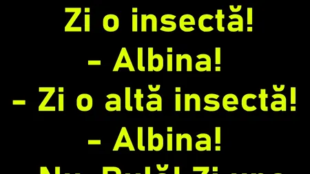 BANC | „Zi o insectă, Bulă”