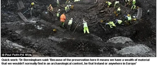 Ce au găsit arheologii într-un sit din Irlanda. Este cea mai importantă descoperire din cariera mea