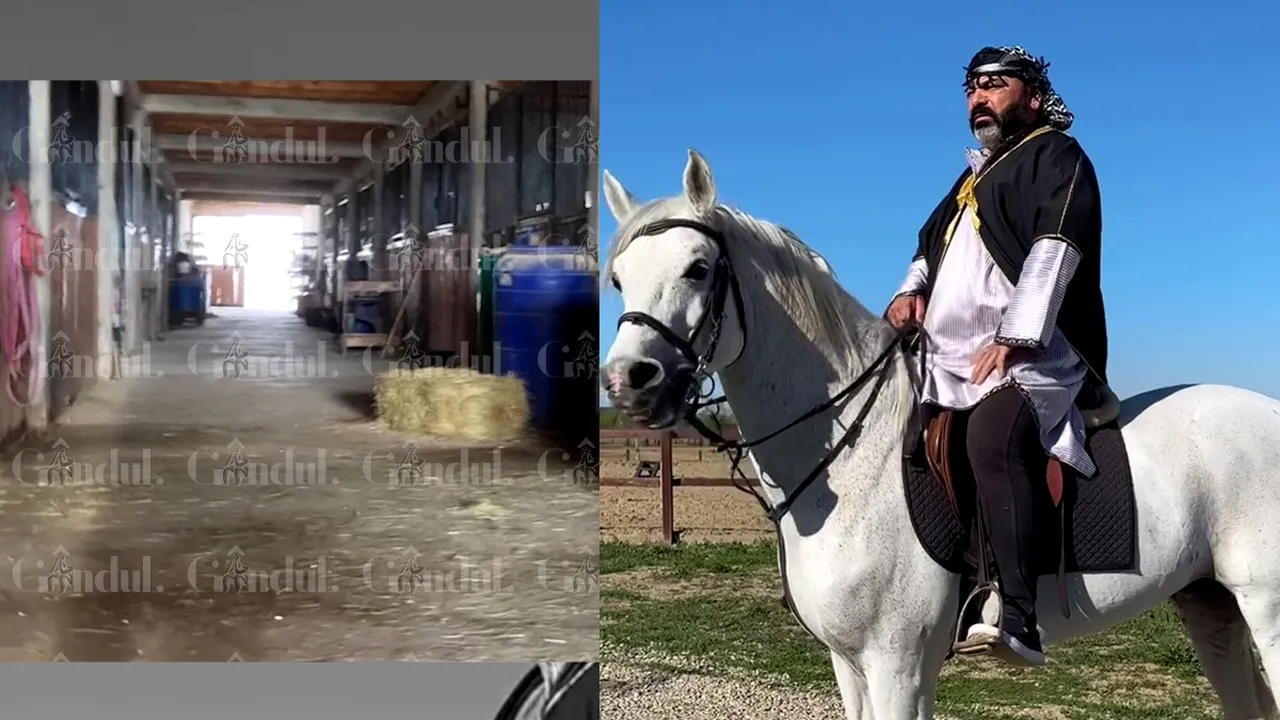 Ferma de cai de la CIOLPANI a intrat “în adormire”. Cine este afaceristul Mohamed Jbara, gazda ÎNTÂLNIRII DE TAINĂ dintre Georgescu, Potra și Sechila