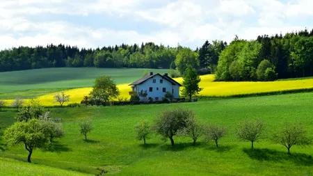 Primești 2.000 de lei de la stat dacă vei crește acest animal! Are carnea mai BUNĂ decât cea de somon