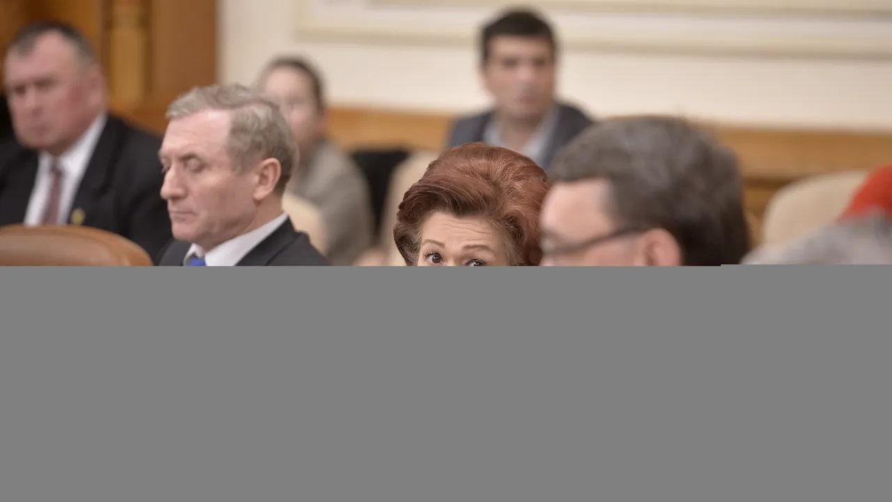 Șefa ÎCCJ, mesaj pentru Toader: Îmi e greu să cred că ar putea să ignore avizul CSM. Sunt patru puncte nevralgice la Legile justiției