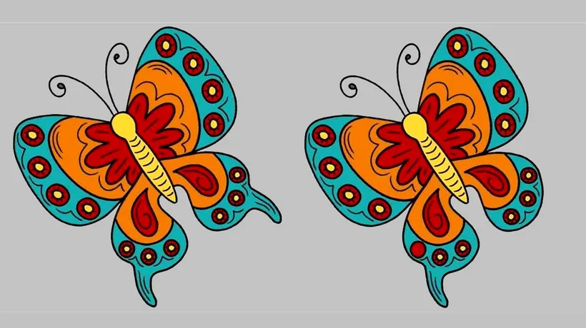 TEST de perspicacitate | Găsiți cele 3 diferențe dintre acești 2 fluturi, în maximum 15 secunde!