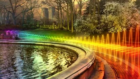 Experiment al unor eleve daneze. Routerele wireless ar putea dăuna plantelor