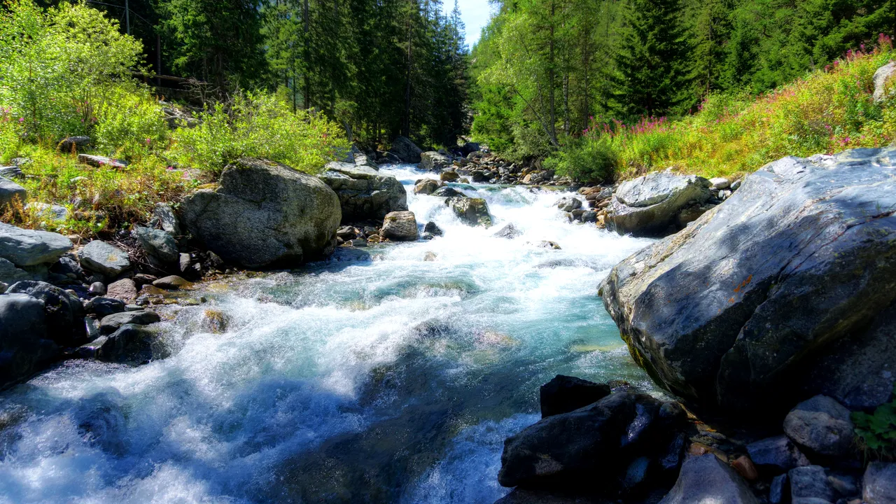 „Nu lăsa pe nimeni în urmă