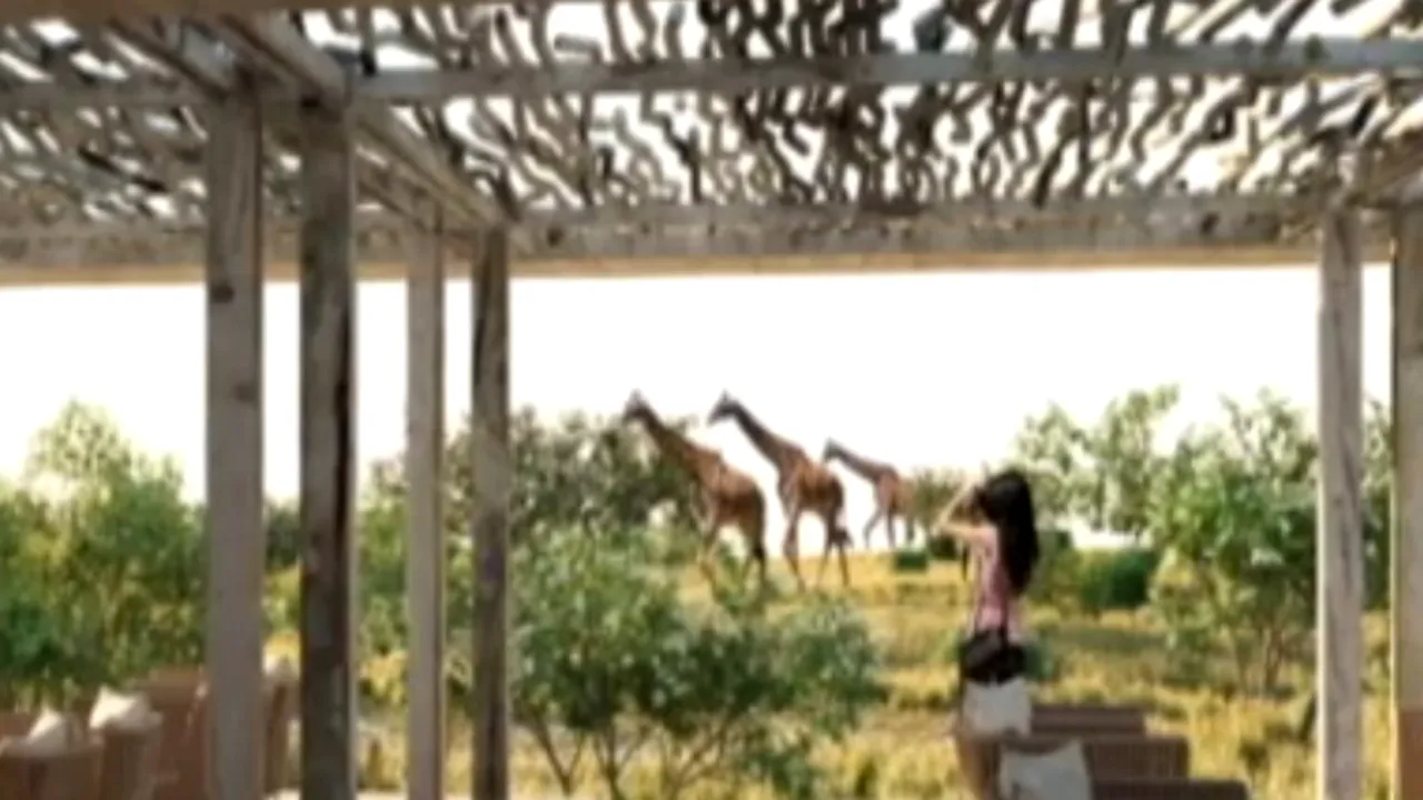 Proiectul care va transforma Zoo Băneasa. Elefanți, koala, panda și urși polari ar putea fi văzuți la București