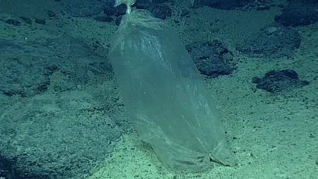 Descoperirea neașteptată făcută pe fundul Groapei Marianelor, cel mai adânc loc de pe Terra - VIDEO