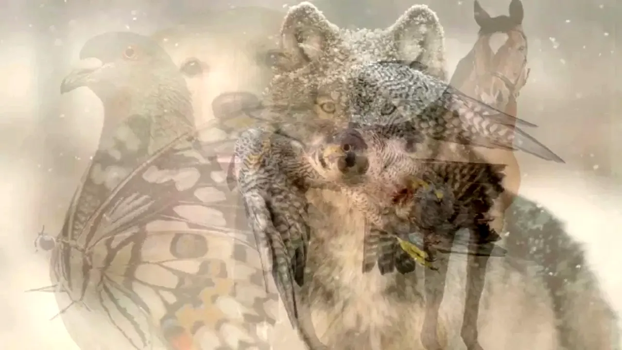 Test psihologic | Ce animal vezi în această fotografie? Răspunsul îți va spune cum ești, de fapt, într-o relație