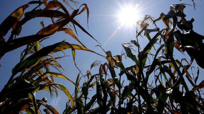 Perioadele de secetă din Europa vor crește puternic pe viitor