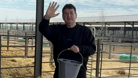 Gabriel Oprea anunță o investiție de 5 milioane de euro în ferma Black Angus deținută de Gigi Nețoiu