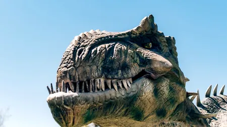 Adevărul despre Tyrannosaurus rex. Ce arată noile studii despre „Regele dinozaurilor”