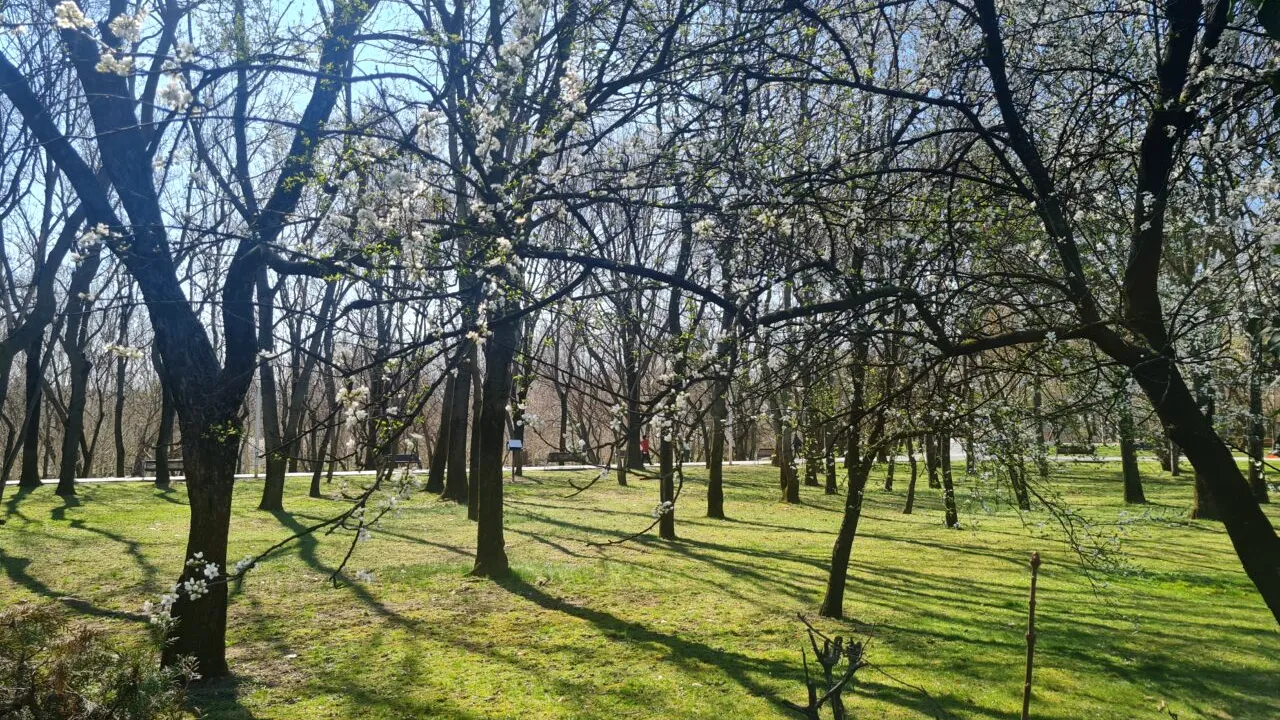 Meteorologii Meteoradar au modificat prognoza pentru Paște. Cum va fi vremea în noaptea de Înviere