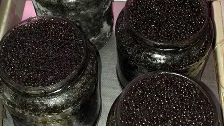 Ce mai trafichează românii? Așa arată 23 de kilograme de CAVIAR băgate în borcane de....zacuscă! FOTO & VIDEO