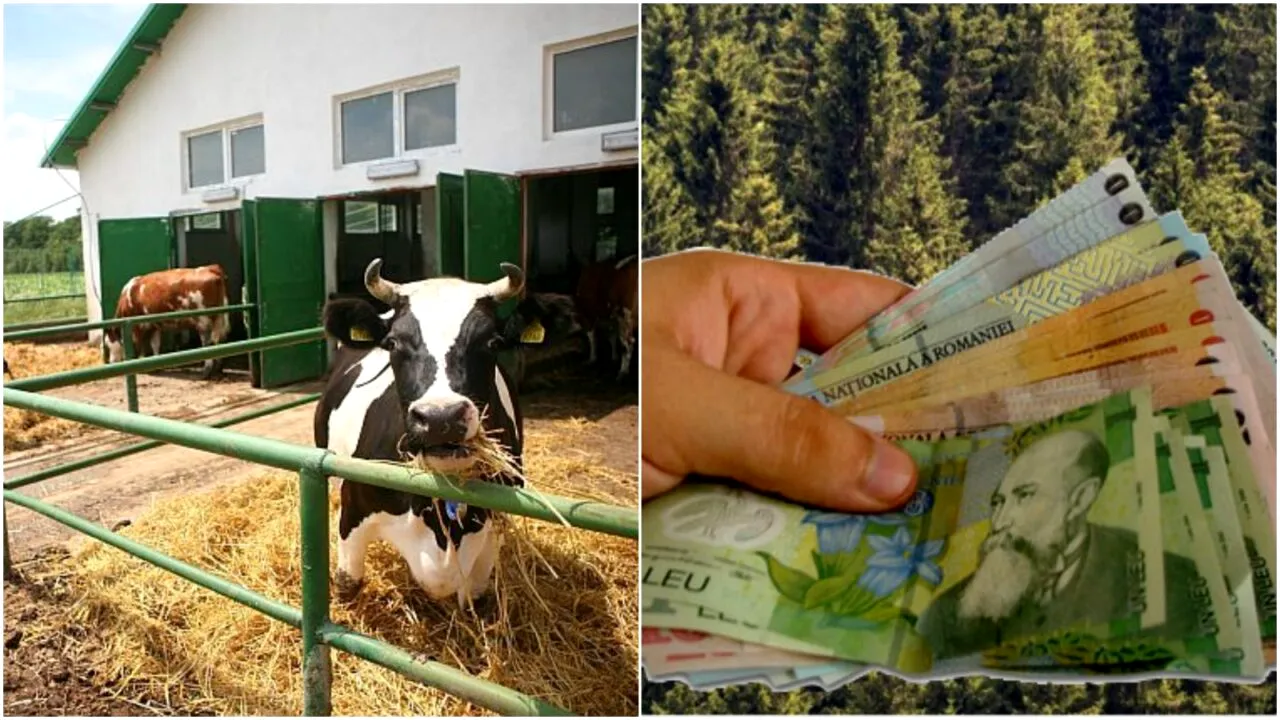 Fermierii nu vor mai primi subvenții pentru aceste animale. Ministrul Agriculturii a făcut anunțul