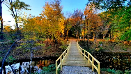 Cum arată noul parc deschis vineri în Capitală: „Este cea de-a doua Deltă a Bucureștiului” | GALERIE FOTO