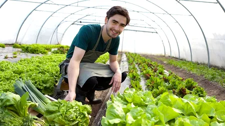 FINANȚARE: Pentru tinerii din diasporă sunt disponibile încă 23 milioane euro. Depunerea cererilor de finanțare pentru fondurile europene s-a prelungit