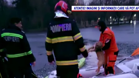 Un bărbat din București și-a riscat viața pentru a-și salva câinele, căzut în IOR. Nu a mai putut ieși din apa rece