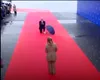 Scenă de film la Summit-ul de la Tirana. Premierul Albaniei, în genunchi, pe covorul roșu, în faţa Giorgiei Meloni. IMAGINI de colecție