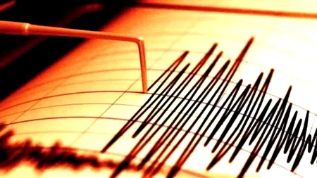 Primul seism 2025. CUTREMUR de slabă magnitudine în Vrancea