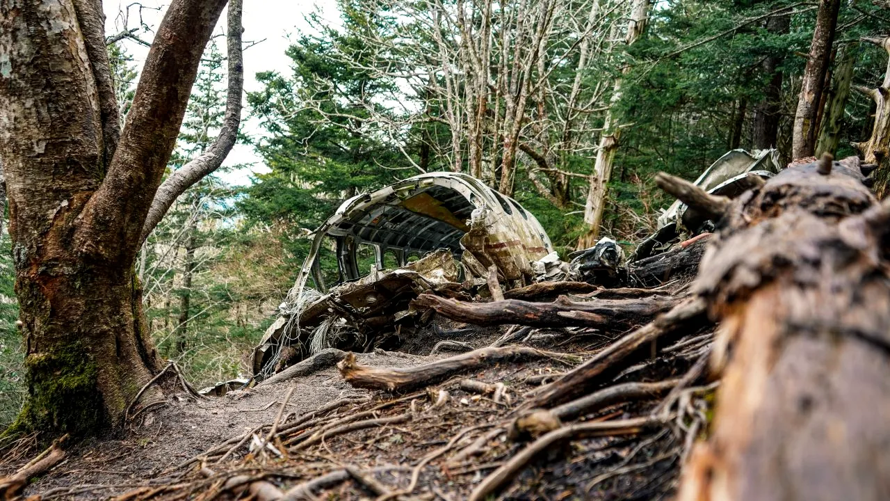 Doi morți după prăbușirea unui avion de mici dimensiuni în munții Germaniei