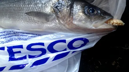 FOTO: Parazitul găsit în gura unui pește cumpărat din magazin. 