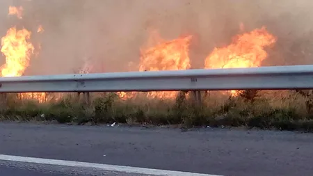 Autostrada București-Pitești, blocată pe ambele sensuri. Incendiu de vegetație pe o suprafață de 4.000 metri pătrați / Operațiune de amploare