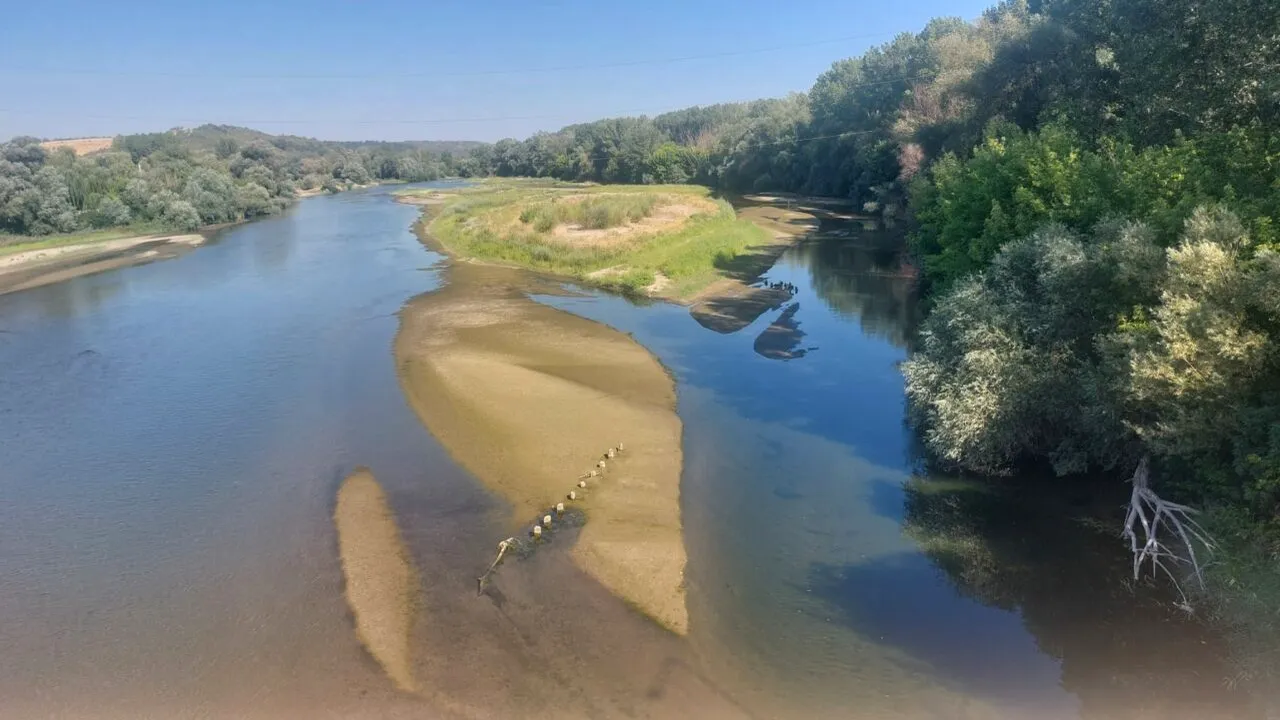Schimbările climatice transformă albia JIULUI. Insule de vegetație și copaci în locul apei