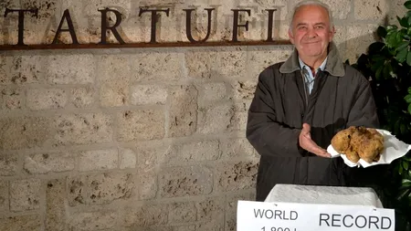 Cea mai mare trufă din lume a fost descoperită în Italia