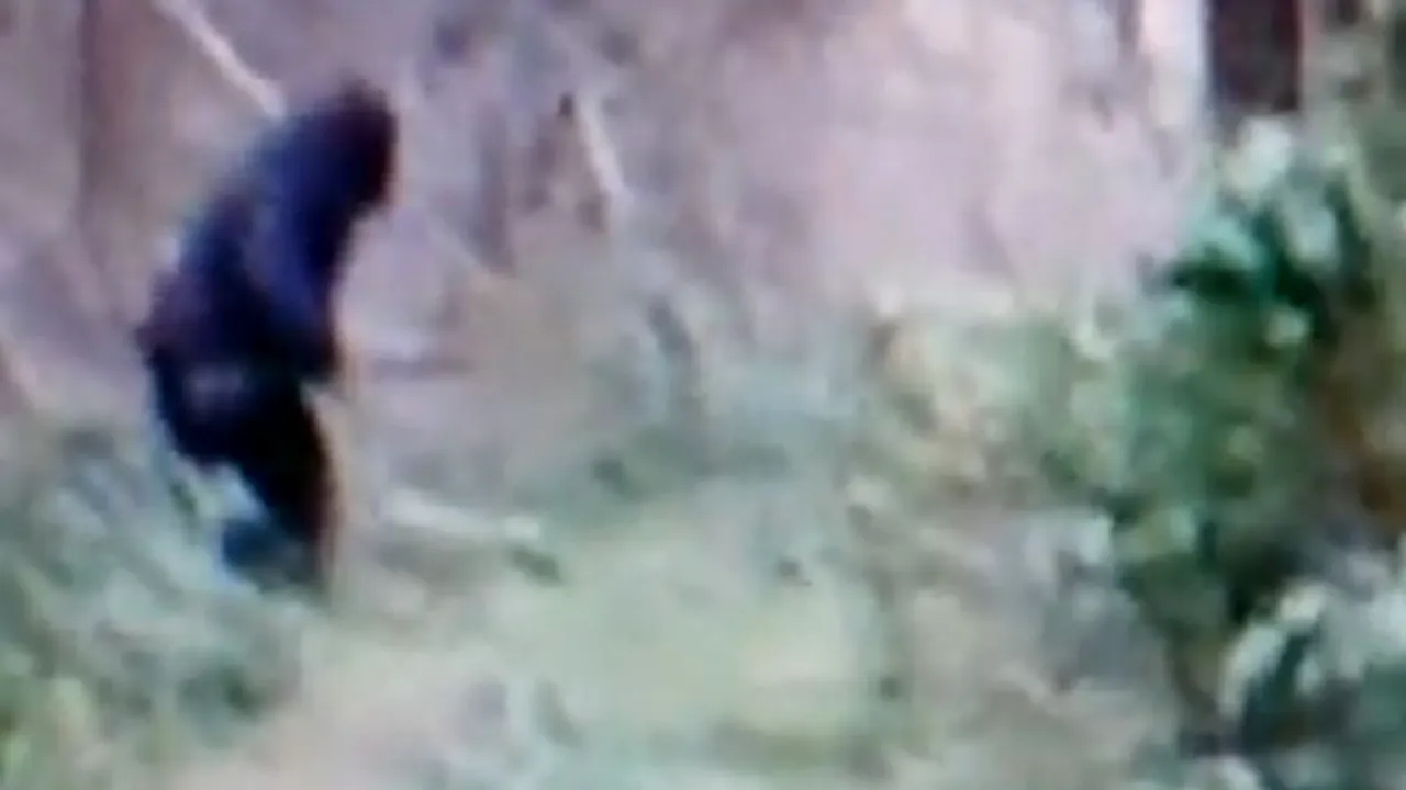 VIDEO. Imaginea care schimbă tot ce știam despre acest personaj: