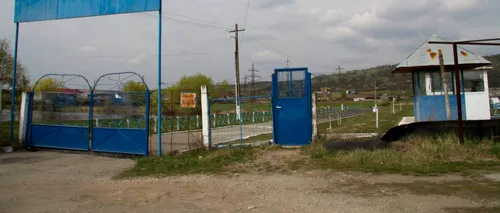 #DIZGRAȚIAȚII. Agricultorii din închisori: povestea deținuților de la ferma Penitenciarului Târgu Jiu