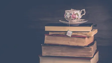 Nory, Zița sau Vitoria Lipan? Care este cel mai feminist personaj din literatura română? Cum răspund la această întrebare Simona Popescu, Mircea Cărtărescu și alți scriitori