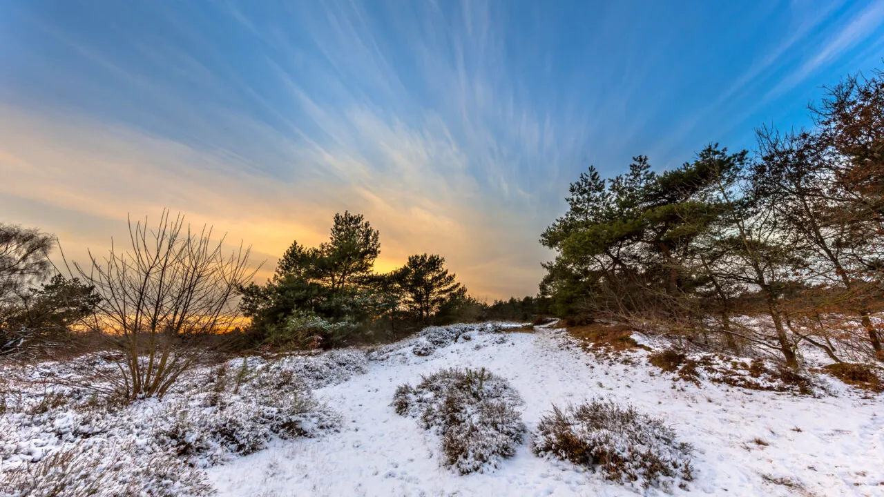 Cum va fi vremea până la mijlocul lunii FEBRUARIE. Meterologii anunță temperaturi peste normalul perioadei