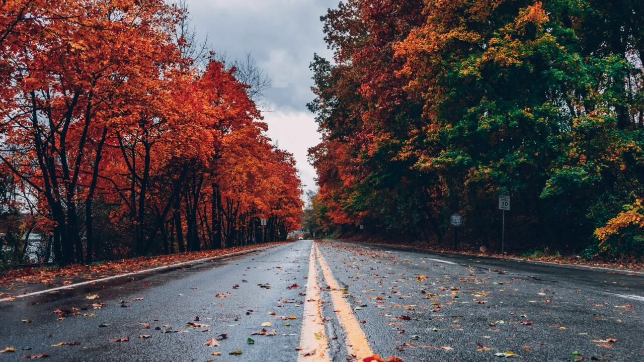 Cod galben de ceață în centrul și sudul țării. Cum va fi vremea până la mijlocul lunii noiembrie