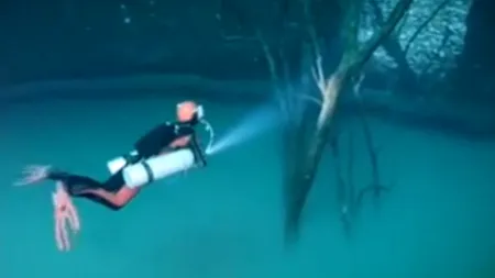 VIDEO. Imagine spectaculoasă pe fundul unui crov din Mexic. Ce au descoperit scafandrii