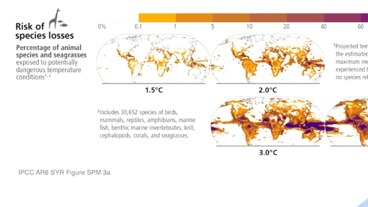 Raport IPCC | Zeci de mii de specii afectate și aflate pe cale de dispariție în următoarele decenii