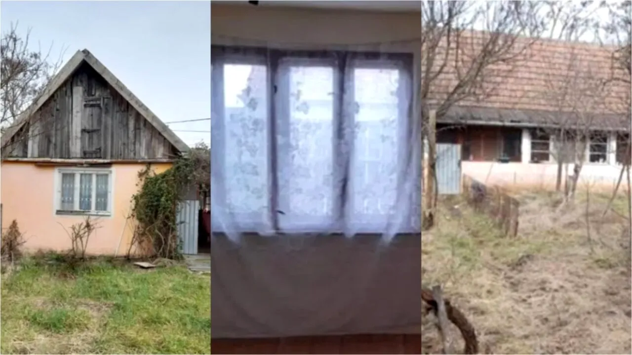 Localitatea din România în care îți poți cumpăra o casă cu doar 2800 de euro. Are livadă cu pomi fructiferi si un teren de peste 7000 de mp