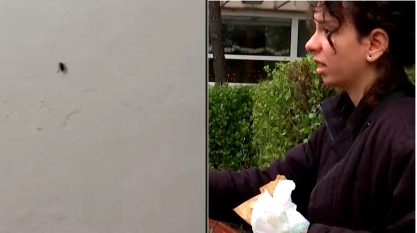 ȘOARECI, gândaci și ploșnițe! Reacția unei studente din Turcia care s-a cazat într-un cămin din România